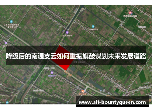 降级后的南通支云如何重振旗鼓谋划未来发展道路